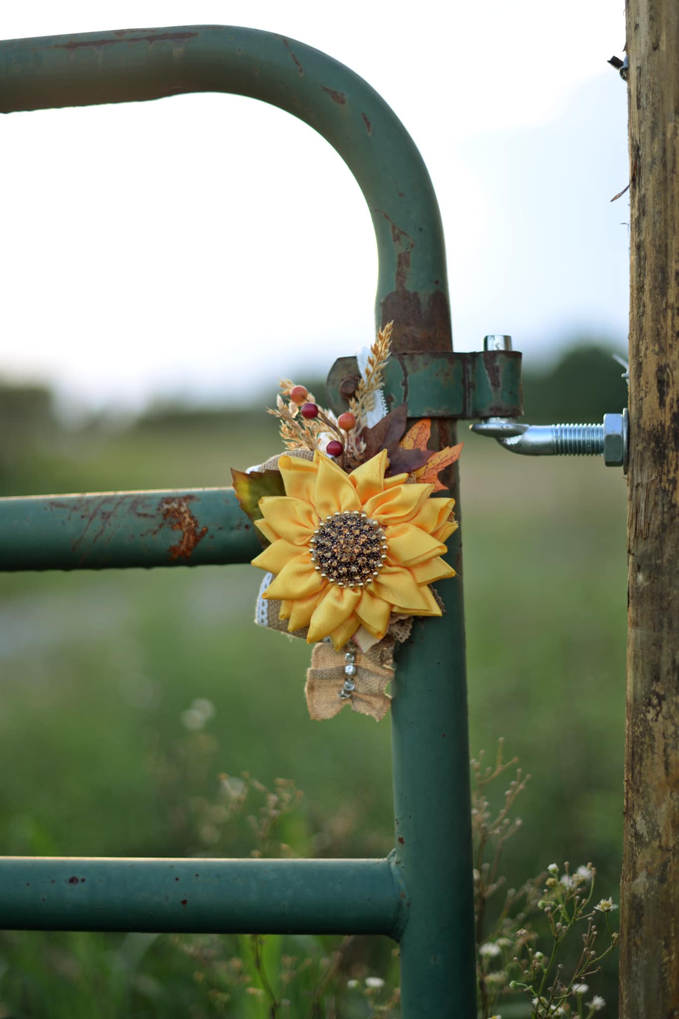 Autumn Sunflower