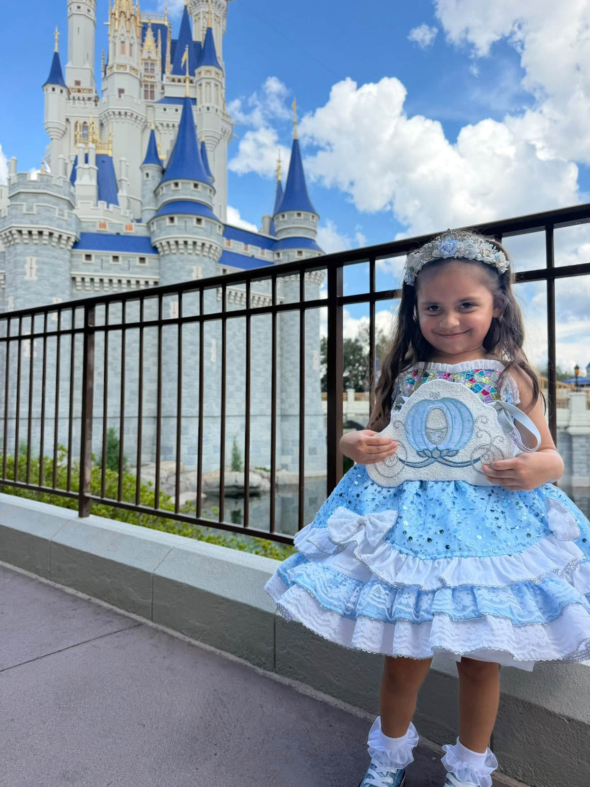 Flat Lay Crossbody Bag - Cinderella's Carriage