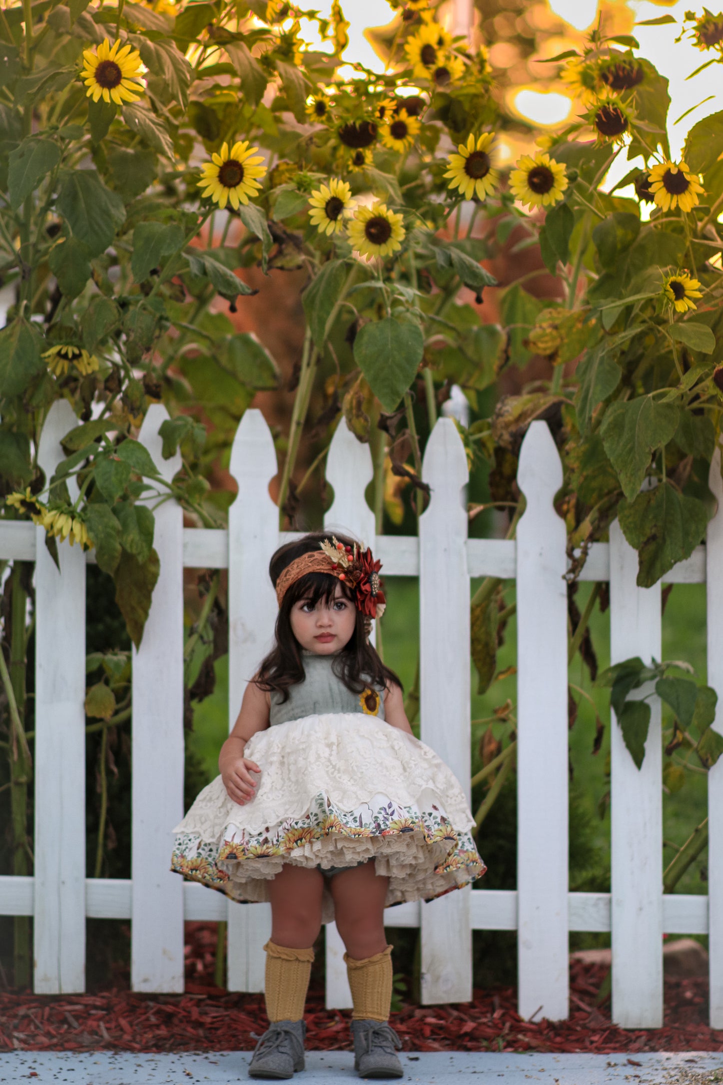 Autumn Sunflower